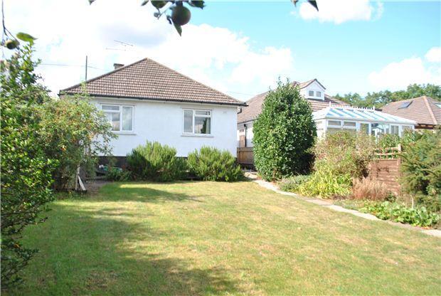 Rear Garden/Elevation