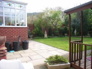 Back Garden