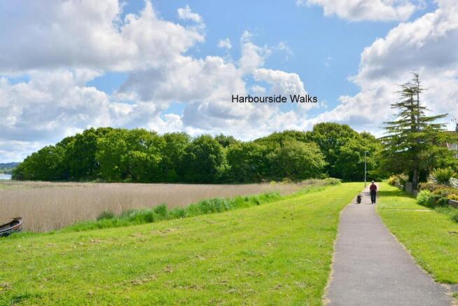Harbourside walks