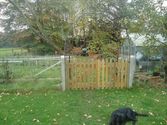 Photo 23