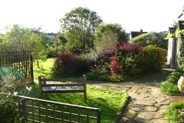 front garden
