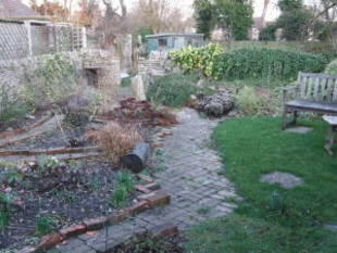 Photo 8