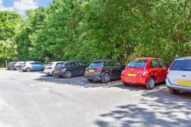 Driveway/Parking