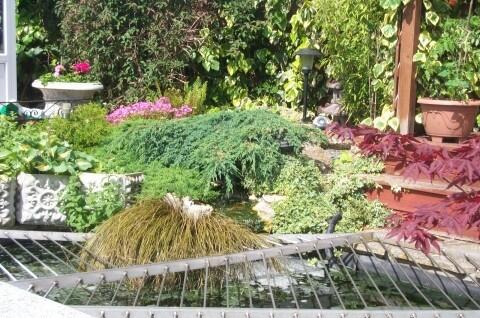 Childproof Pond