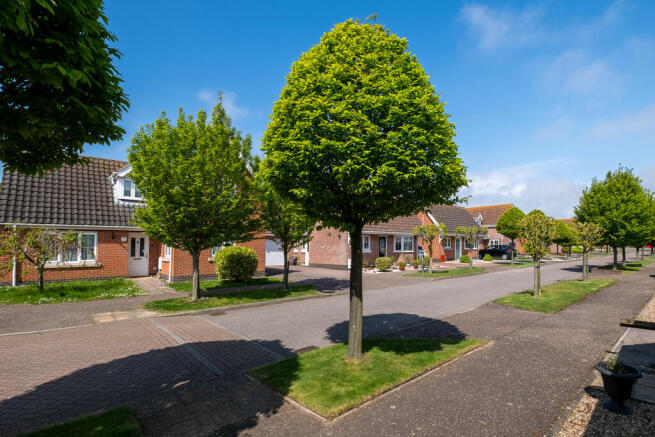 CherryTreeAvenue-...