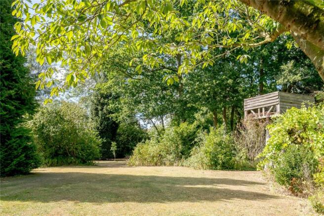 Woodland Garden