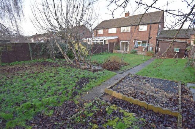 Back of Garden