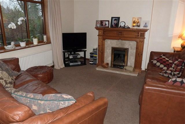 NEW LIVING ROOM