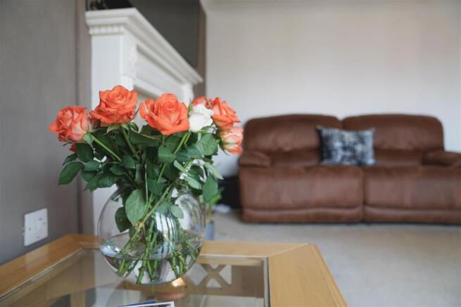 Cosy Living