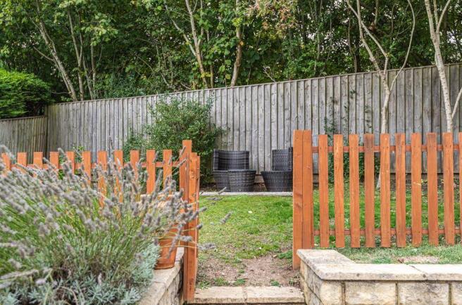 Garden at Back