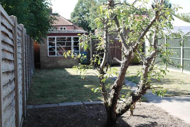Photo 15