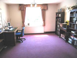 Study Area