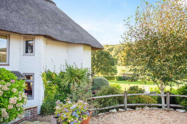 Pretty Shot