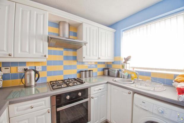 Picture No.03