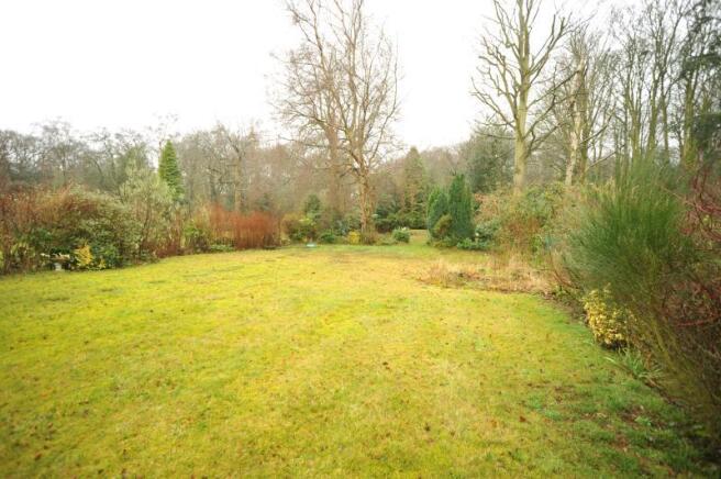 Garden 2