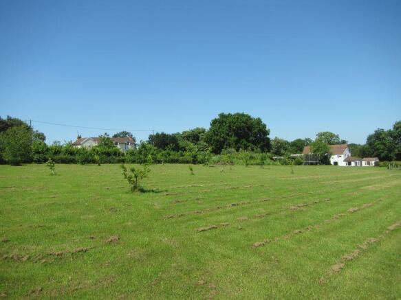 Photo 42
