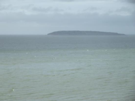 Sea View Puffin Is