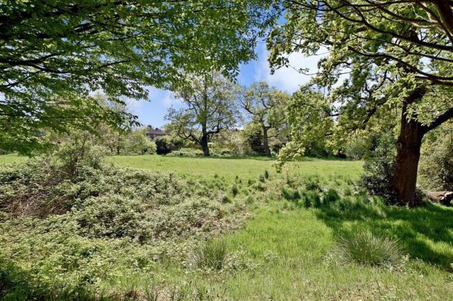 Surrounding Area