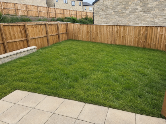 Back Garden