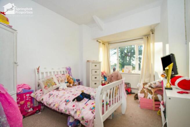 IMAGE 11 
