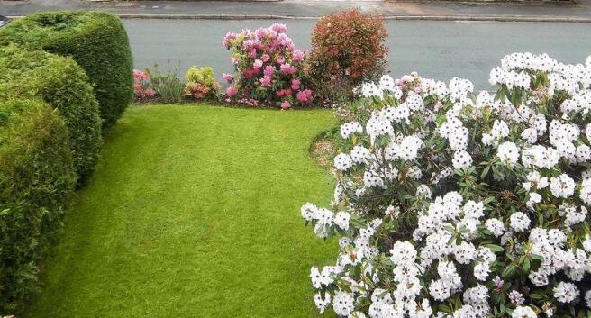 GARDEN IN SUMM...
