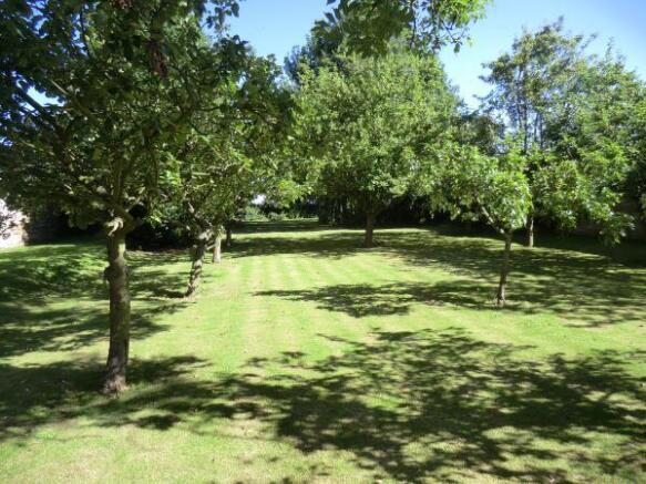 Land/Orchard