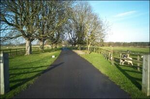 Driveway
