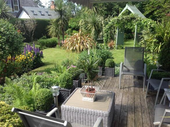 Garden in summer