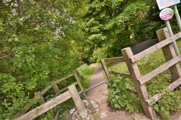 Woodland Walks