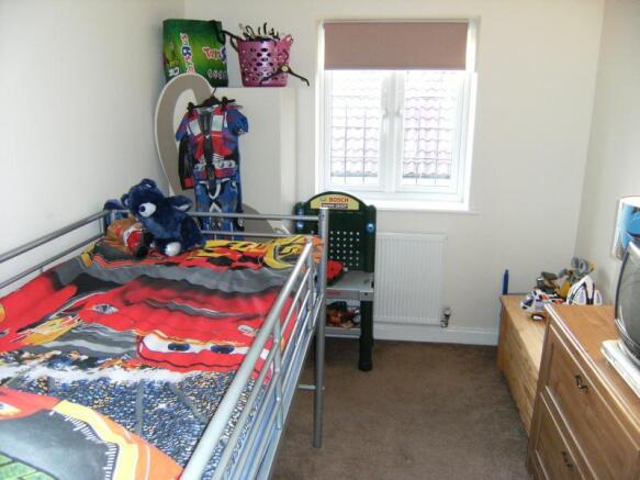 Image 12