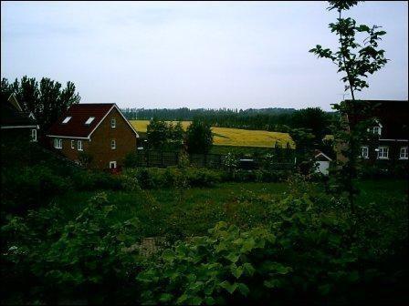 View of countryside