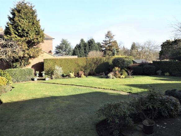garden 1