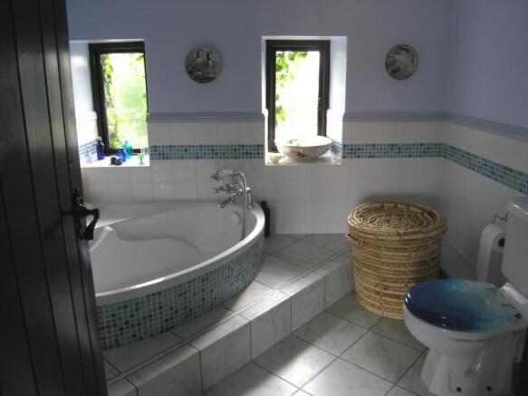 Photo 7