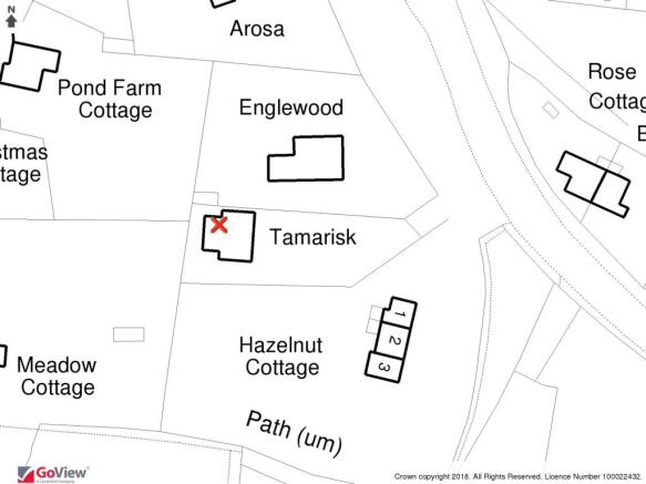 Tamarisk