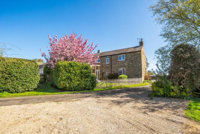 South Cottage Garden 2 (C)
