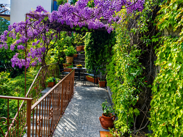 terrace