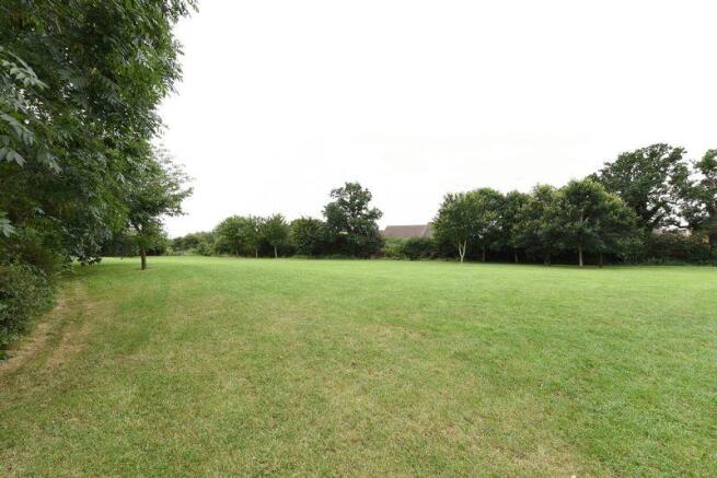 Dog Walking an...