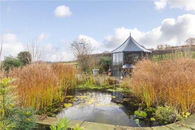 Pond