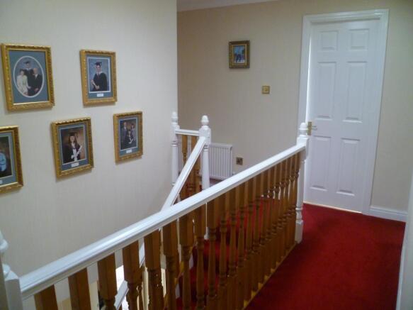 Image 12