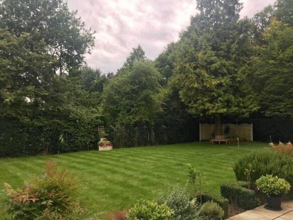 garden