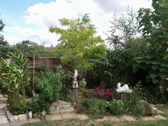 Garden August 2022
