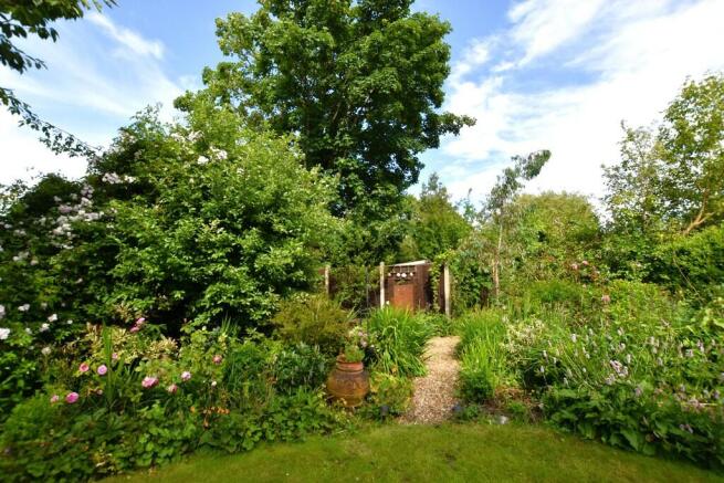Rear Garden 2