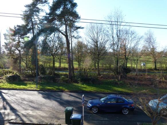 Delightful Views