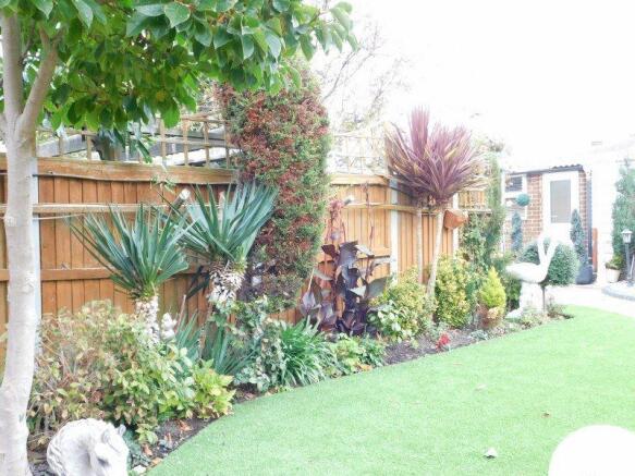 Photo 51