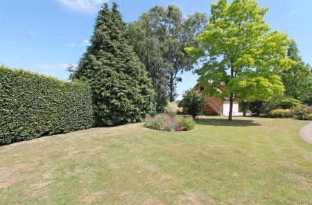 garden_2.jpg