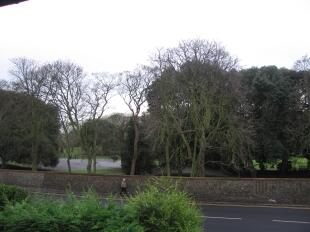 View To Park
