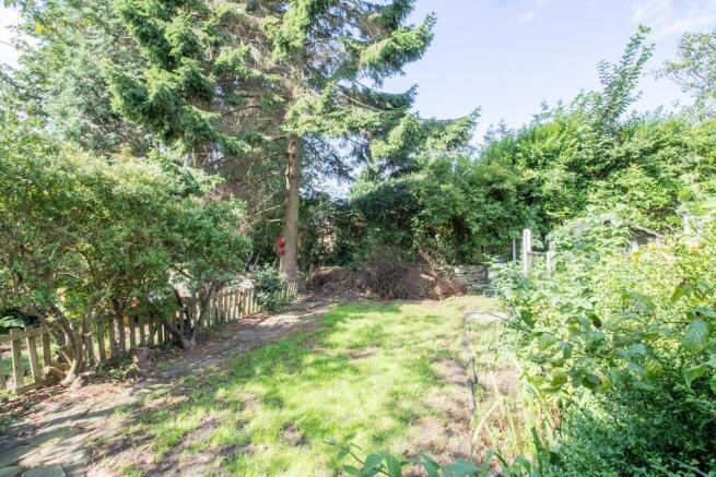 View from Property at Back