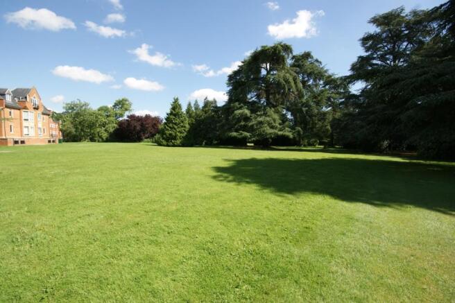 Grounds