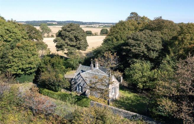 Photo 37