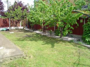 Side Garden